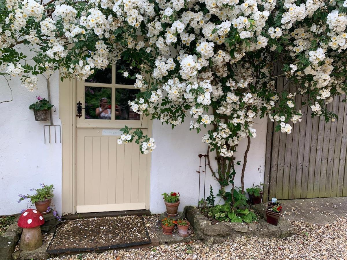 The Piggery At The Cottage Wool Extérieur photo